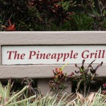 pineapplegrill1 pineapplegrill1