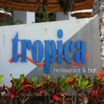 tropica1 tropica1