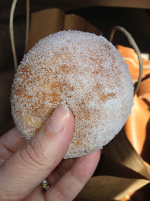 Thumbnail image for Malasadas on Maui