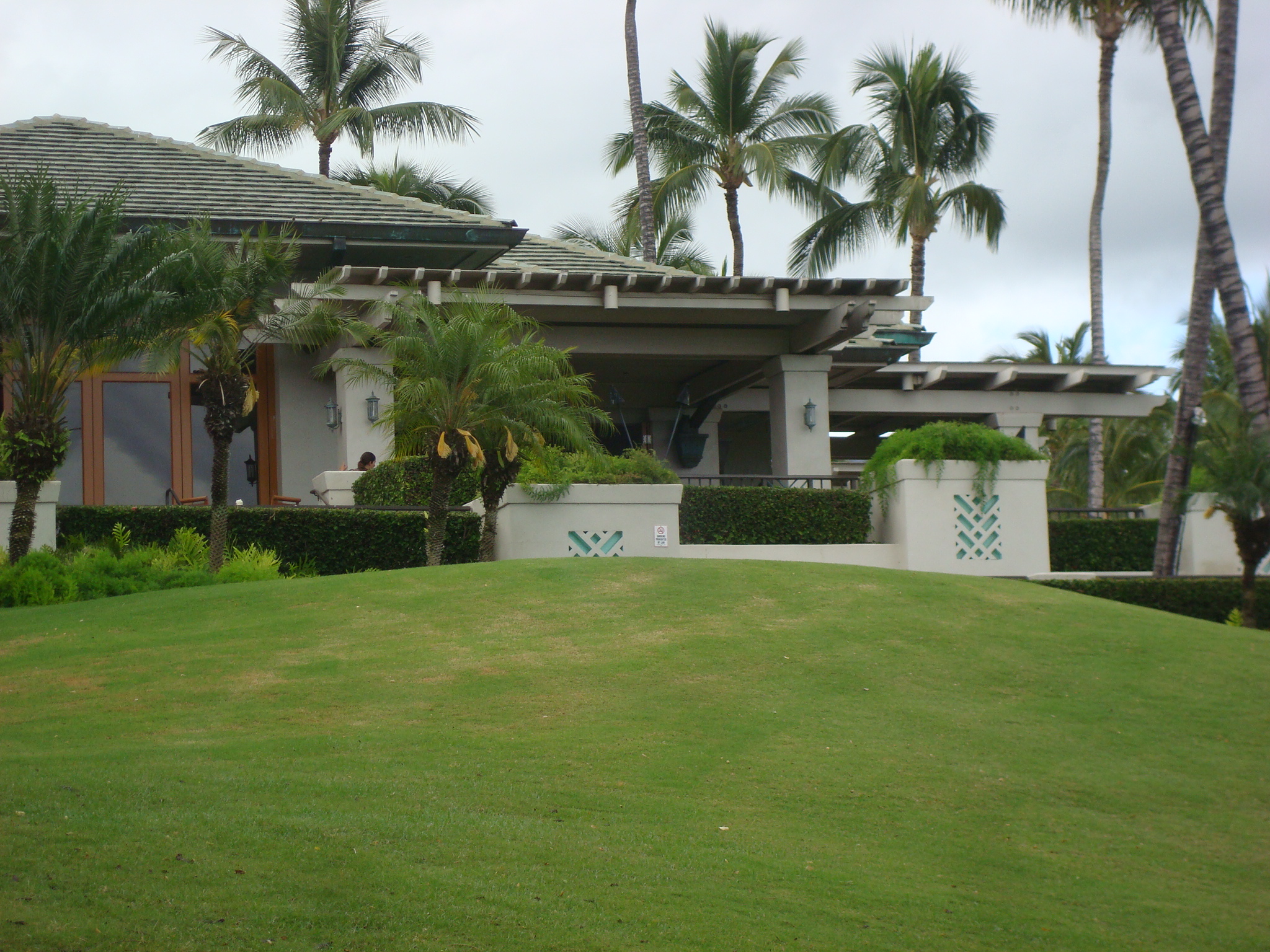 Seawatch Reopens Tonight Under New Management Bev Gannon! Maui
