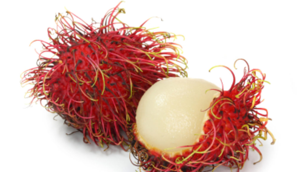 Rambutan look like Dr. Seuss creations, but once you get past the tough, soft, spines, you find the creamy, delicately flavored inside... a must try. 