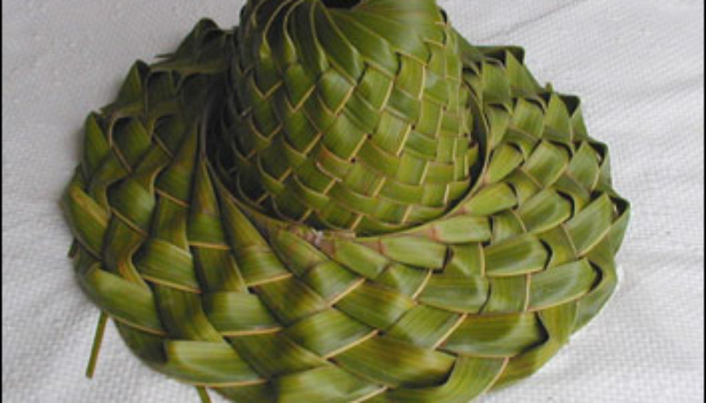 palm_frond_hat1