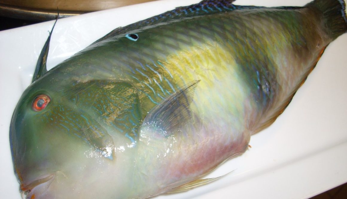 The Nabeta is a deep water parrotfish usually kept out of the commercial markets - fishermen keep them and share them with their friends! When Chef James was offered a Nabeta, he surprised some of his favorite foodie friends - including Bev Gannon - with a meal based on the succulent, white fish. Ono!