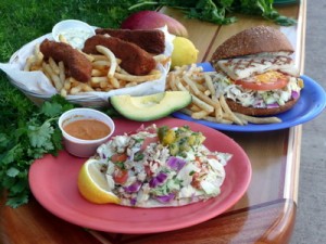 I took this from Coconut's Fish Cafe's website, because my picture was too blurry. Low blood sugar makes me shaky. The fish sandwich is the one on the right. We also like the fish and chips, top left.