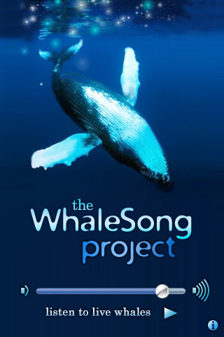 The Whalesong Project has been broadcasting whalesong live (and pre-recorded in the off season) for ten years. You can listen to the stream on your computer - or get the iPhone app (one of our favorite apps). 