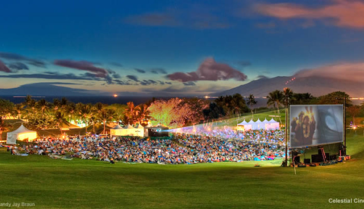 Sitting out under the Wailea stars and watching a movie is a sensual, soul-stirring experience. We highly recommend the Maui Film Festival. 