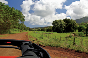 The Road to Hana CD from theR2H.com | Maui Restaurants