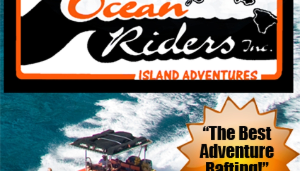 Adventure Rafting: Whales and Dolphins at Eye Level