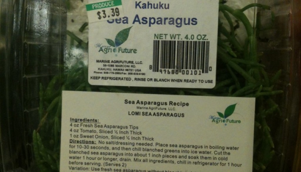 Addictive Sea Vegetable: Sea Asparagus